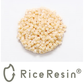 Biomass plastic molding